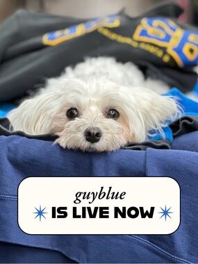 💙🪬🦋 guyblue is live! 🦋🪬💙 see you there 🐬